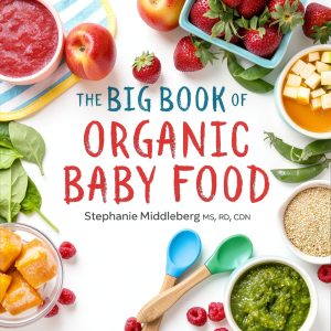 Organic Baby Food Cookbook by Callisto – 489‑Page Kindle Guide-0